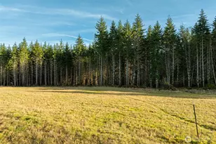 0 Silverwood Dr, Castle Rock, WA 98611 - Photo 1