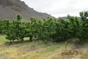 963 Sr 28, Rock Island, WA 98850 - Photo 1