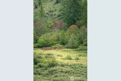 42 Beeman Road, Tonasket, WA 98855 - Photo 1