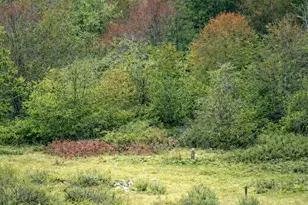 42 Beeman Rd, Tonasket, WA 98855 - Photo 1