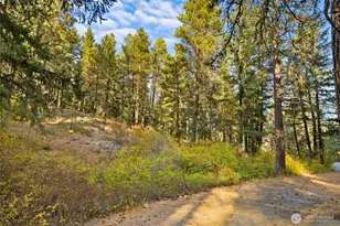 15 Xx Elk Heights Rd, Cle Elum, WA 98922 - Photo 1
