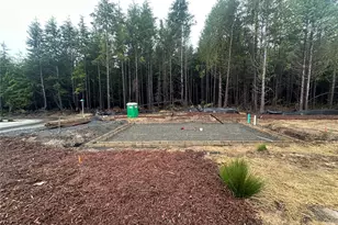 115 Pickler Bnd, Pacific Beach, WA 98571 - Photo 1