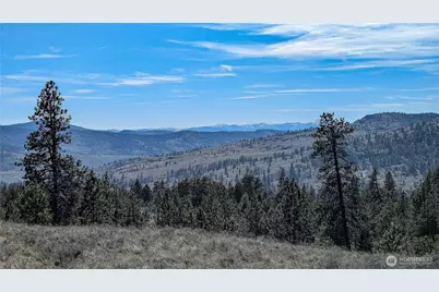 60 E Cayuse Mountain Road, Tonasket, WA 98855 - Photo 1