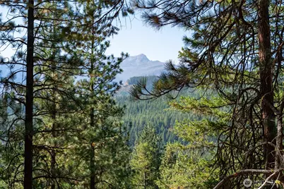 25607 Camp 12 Road, Leavenworth, WA 98826 - Photo 1