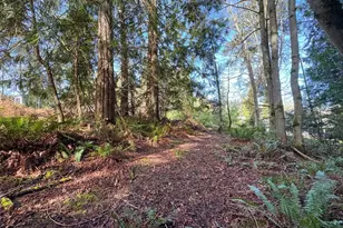 9999 Delguzzi Dr, Port Angeles, WA 98362 - Photo 1