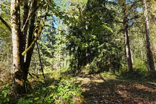 16616 NE Woodinville Duvall Rd, Woodinville, WA 98072 - Photo 1