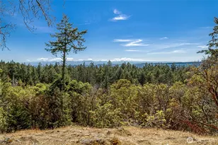179 High Haro Dr, San Juan Island, WA 98250 - Photo 1