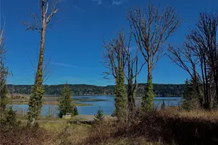 1080 Linger Longer Rd, Quilcene, WA 98376 - Photo 1