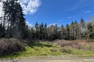 1 Xx E Case View Pl, Shelton, WA 98584 - Photo 1