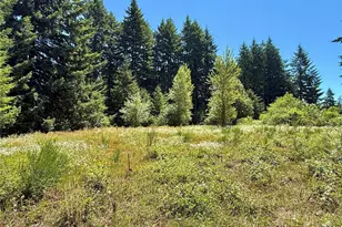 127 Sawall, Centralia, WA 98531 - Photo 1