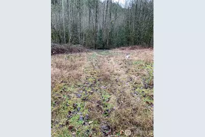 3838 E Hoff, Everson, WA 98247 - Photo 1