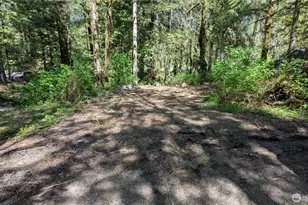 49817 Index-Galena Rd, Index, WA 98294 - Photo 1