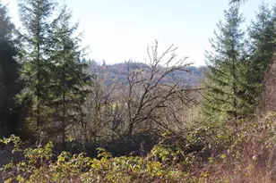 0 Xxx Larson Rd, Mossyrock, WA 98564 - Photo 1