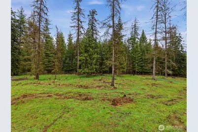 0 Nka W Oregon Road, Deer Park, WA 99110 - Photo 1
