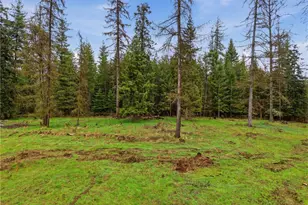 0 Nka W Oregon Rd, Deer Park, WA 99110 - Photo 1