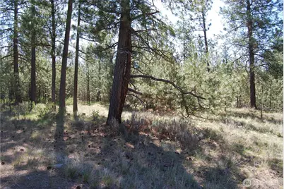 4 Chief Joseph Spur East, Riverside, WA 98849 - Photo 1