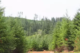 0 Lot C Mill Creek Ln, Longview, WA 98632 - Photo 1