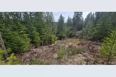4910 Getna Way Road, Springdale, WA 99173 - Photo 1