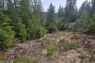 4910 Getna Way Rd, Springdale, WA 99173 - Photo 1