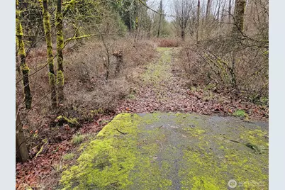 13036 188th Avenue SW, Rochester, WA 98579 - Photo 1