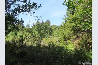 13310 159th Avenue NW, Gig Harbor, WA 98329 - Photo 1
