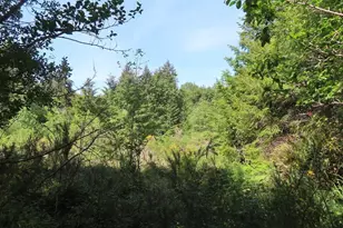 13310 159th Ave NW, Gig Harbor, WA 98329 - Photo 1