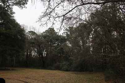 0 Lieben Rd., Mount Pleasant, SC 29466 - Photo 1