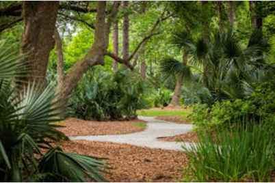 230 Grand Park Boulevard, Charleston, SC 29492 - Photo 1