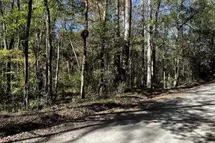 0 Branch Rd, Moncks Corner, SC 29461 - Photo 1