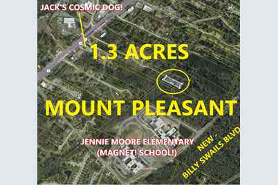 0 Coakley Rd, Mount Pleasant, SC 29466 - Photo 1