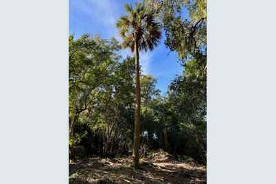 546 Oristo Ridge Road, Edisto Island, SC 29438 - Photo 1