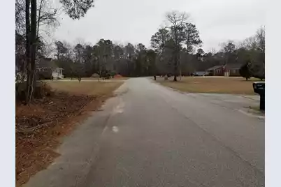 0 Sorin Circle, Elloree, SC 29047 - Photo 3