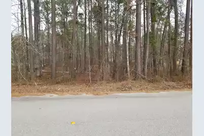 0 Sorin Circle, Elloree, SC 29047 - Photo 1