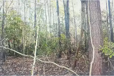 00 James Weston Drive, Mount Pleasant, SC 29429 - Photo 3