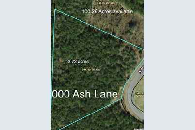 000 Ash Lane - Photo 1