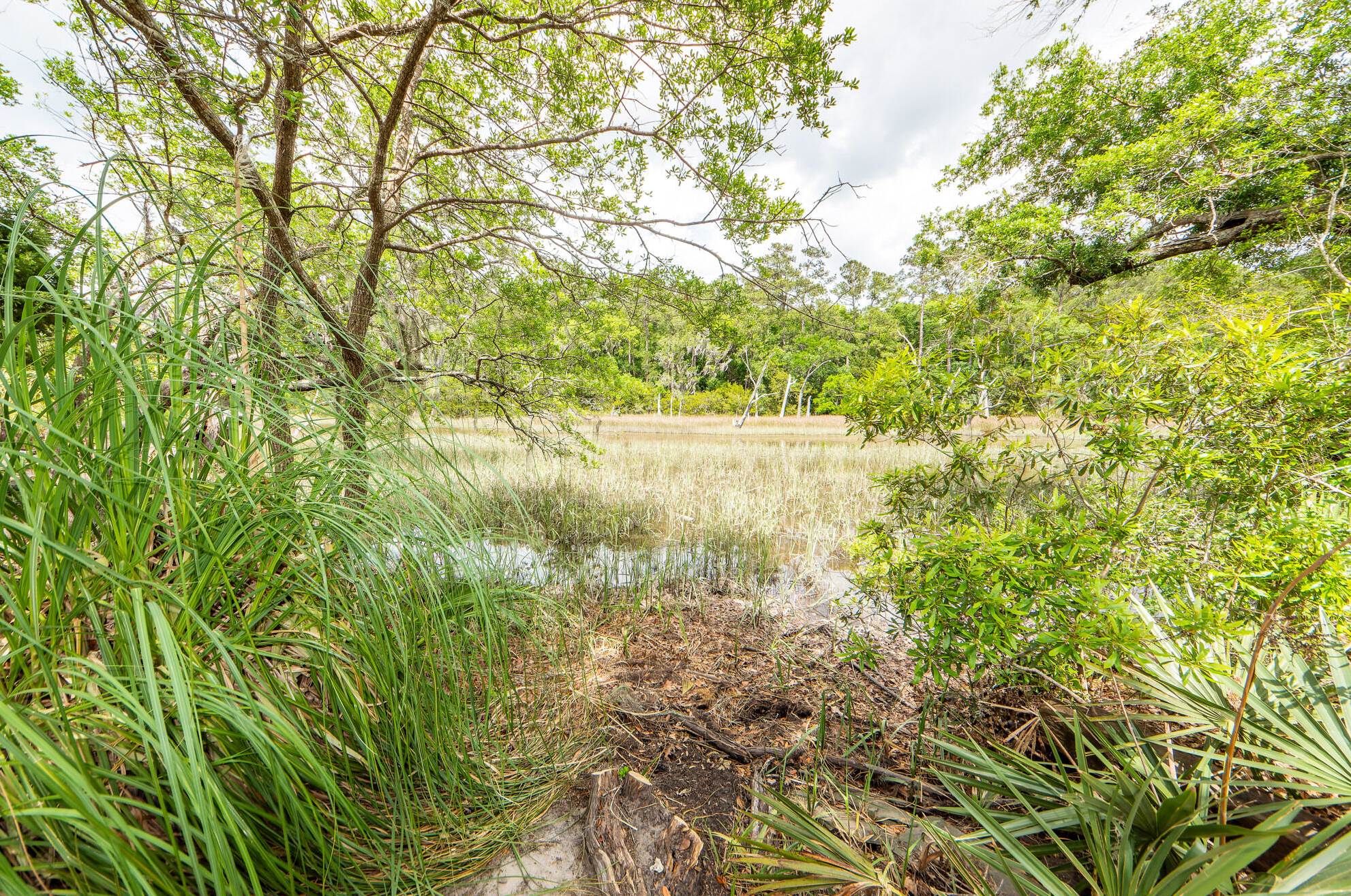 2128 Rookery Ln, Charleston SC 29414-5355 exterior