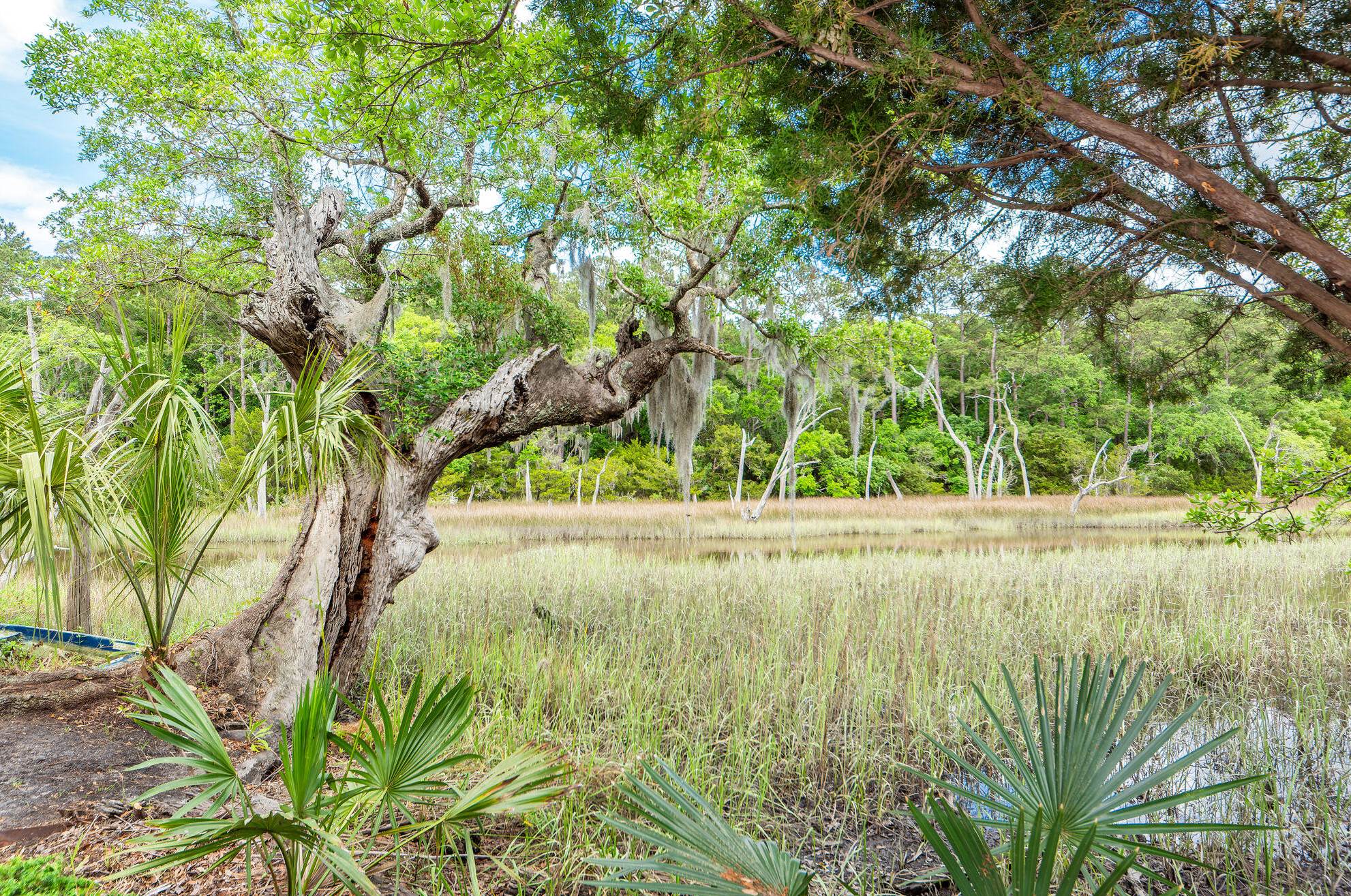 2128 Rookery Ln, Charleston SC 29414-5355 exterior