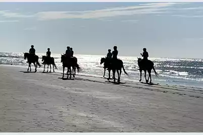 1721 Live Oak Park, Seabrook Island, SC 29455 - Photo 43