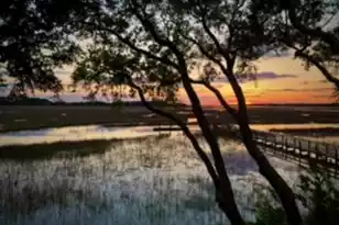 1721 Live Oak Park, Seabrook Island, SC 29455 - Photo 21