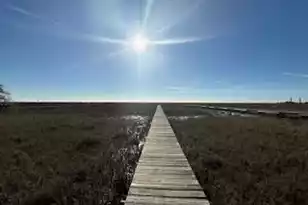 0 Hammocks Way, Edisto Island, SC 29438 - Photo 1