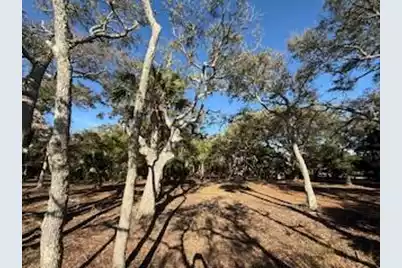 0 Hammocks Way, Edisto Island, SC 29438 - Photo 5