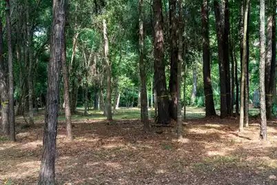8467 Middleton Point Lane, Edisto Island, SC 29438 - Photo 23