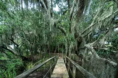 8467 Middleton Point Lane, Edisto Island, SC 29438 - Photo 17