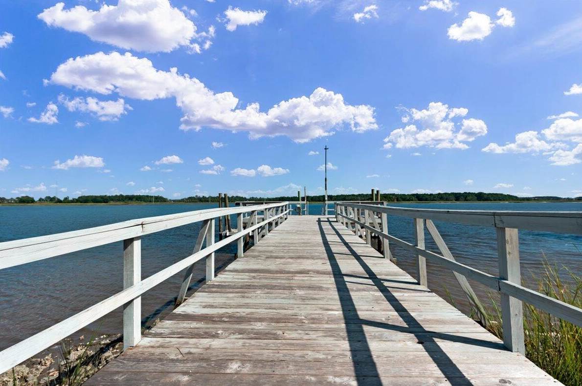 234 Ashmont Dr, Charleston SC 29492-7811 exterior