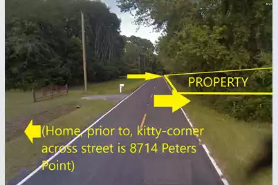 8705 Peters Point Road, Edisto Island, SC 29438 - Photo 7