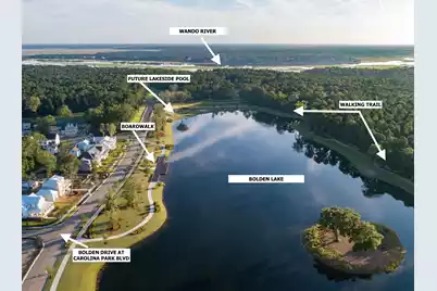 3885 Summerton Street, Mount Pleasant, SC 29466 - Photo 13