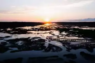 3890 Summerton St, Mount Pleasant, SC 29466 - Photo 5