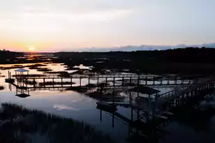 3877 Summerton St, Mount Pleasant, SC 29466 - Photo 9