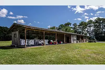 0 Tuten Road, Round O, SC 29474 - Photo 15