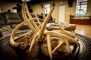 0 Tuten Rd, Round O, SC 29474 - Photo 13